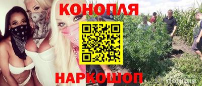 герыч Моздок