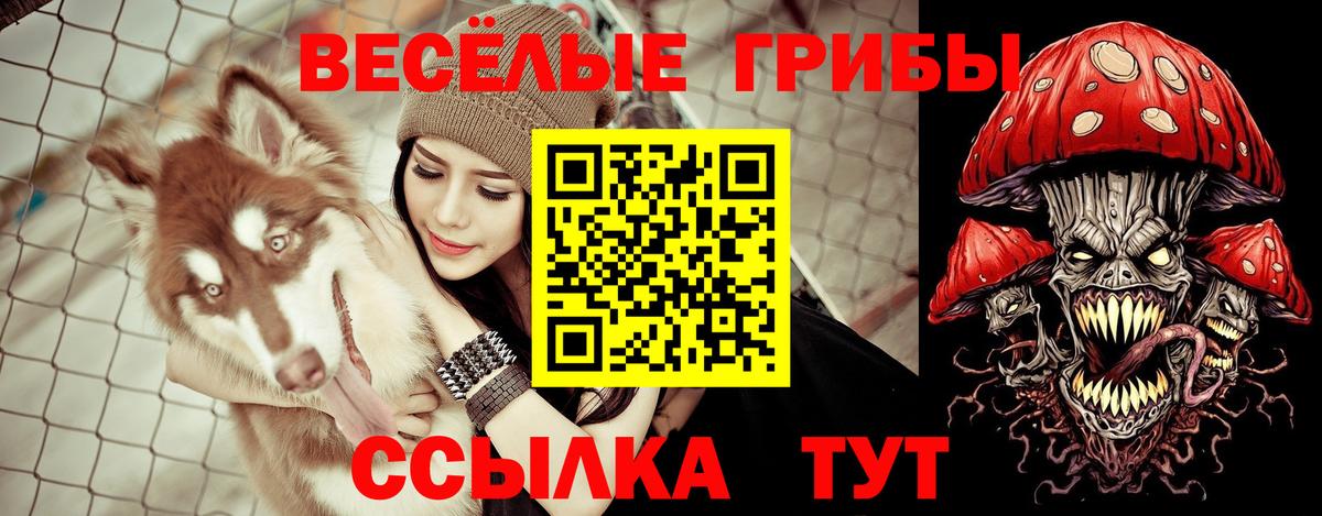 Псилоцибиновые грибы мухоморы Джанкой