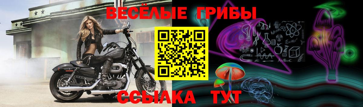сколько стоит  Вход с VPN  Галлюциногенные грибы Cubensis  Джанкой  Псилоцибиновые грибы ЛСД 